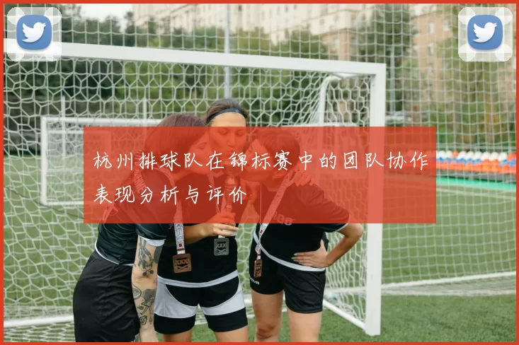 杭州排球队在锦标赛中的团队协作表现分析与评价