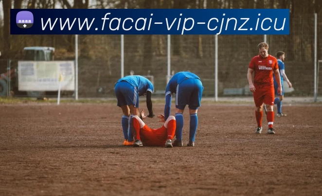 华体会体育品牌故事