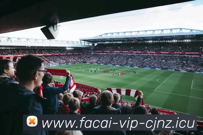 华体会体育服务体系